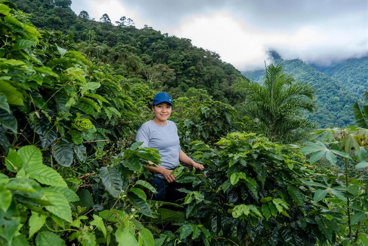 A young Colombian coffee grower smiles among the coffee plants